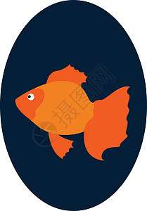 在鱼卵中游泳的金鱼看起来是美丽的矢量或可口图片