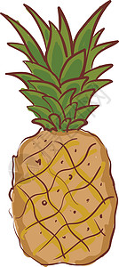 一个卡通的菠萝果 整个水果 绿色树叶 甜甜和旋转图片