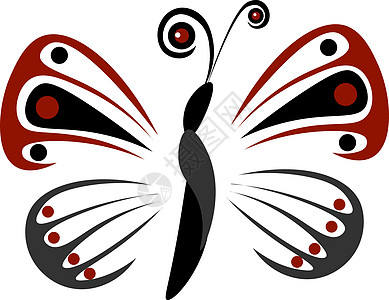 翅膀上有的蝴蝶 白色背景图片