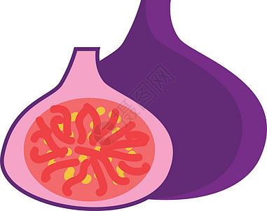 紫色无花果矢量它制作图案图片