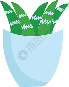 白色背景上的花瓶插画矢量植物背景图片