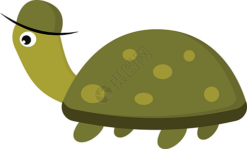 带帽矢量或彩色插图的乌龟图片