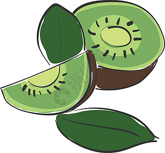 健康的kiwi矢量或颜色插图图片