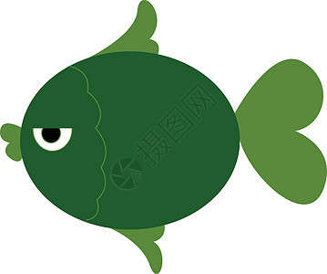 绿色鱼矢量或彩色图案图片