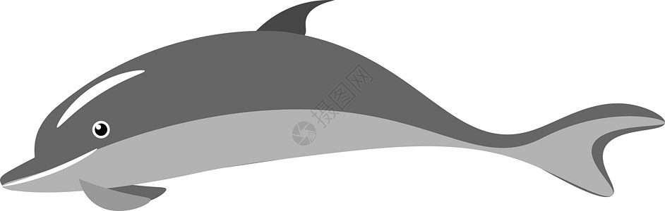 背景 上海海豚矢量或颜色说明插画