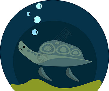 游泳海龟矢量或颜色图示图片