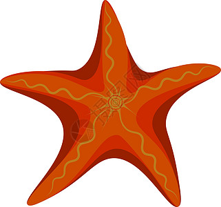 橙星海星矢量或颜色说明图片
