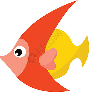 橙类和黄色鱼类矢量或颜色说明背景图片