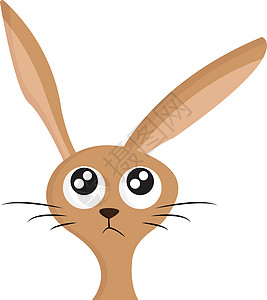 长耳朵矢量或彩色插图的兔子图片