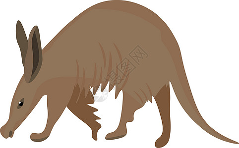 白色背景视图中孤立的棕色ardvark油漆图片