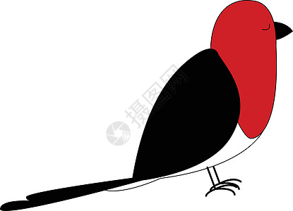 从 t 看孤立的白色背景上设置的卡通红鸟绘画黑色插图羽毛眼睛后翅前翅红色图片