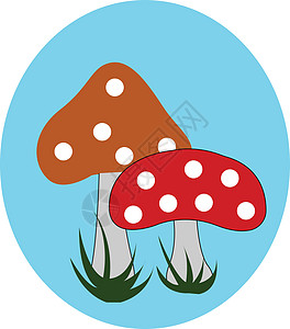 在蓝色背景矢量或颜色i上对两个蘑菇进行纵向喷射图片