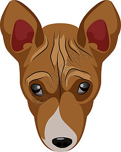 Basenji 白背景的基于 Basinji 插图矢量图片