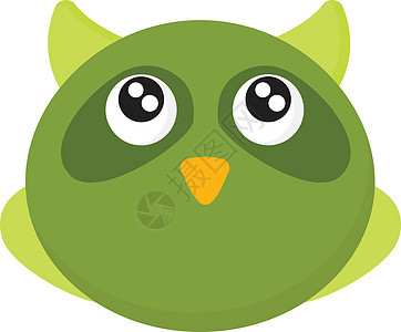 绿色猫头鹰矢量或彩色图案羽毛猎物眼睛生物学脊椎动物绘画插图荒野捕食者图片