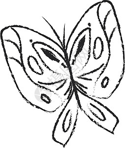 白色背景上孤立的黑白蝴蝶素描图片