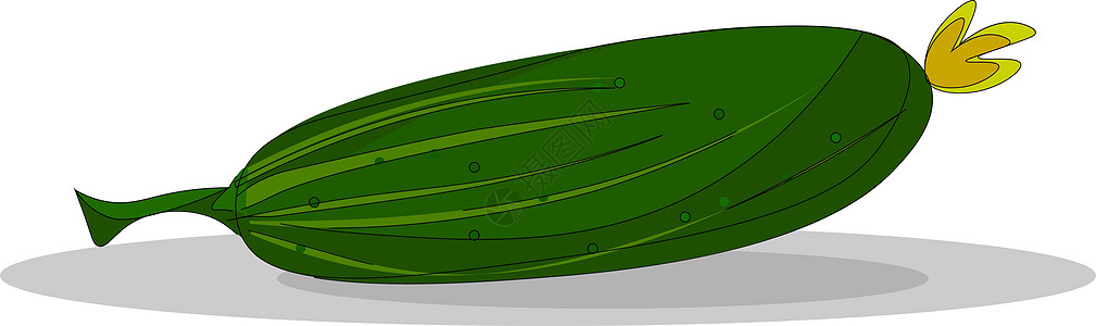 黄瓜矢量或彩色插图花园沙拉农业绿色饮食食物厨房绘画营养蔬菜图片