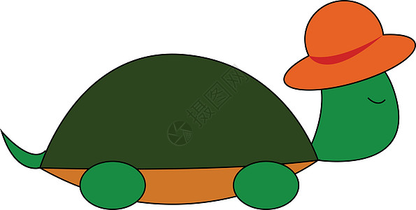 穿着棕色夏帽的可爱乌龟 挂在孤立的白色背面图片