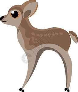 婴儿鹿 矢量或颜色图示的图像图片