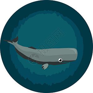 cachalot 图像 - 精子鲸 矢量或彩色插图图片