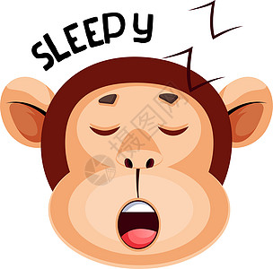 猴子在睡觉 插图 向量 在白色背景图片