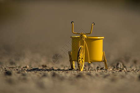户外黄色玩具自行车座位阴影车轮娱乐闲暇学习小路乐趣童年三轮车图片