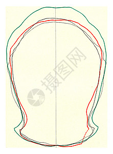 同一头骨的横向曲线 老式雕刻图片