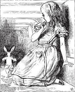 爱丽丝长大了 看白兔回来 辉煌图片