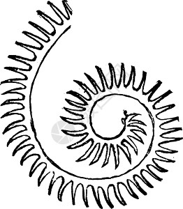 Rastrite 游隼复古雕刻图片