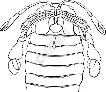 详细描述大腿围巾古代雕刻图片