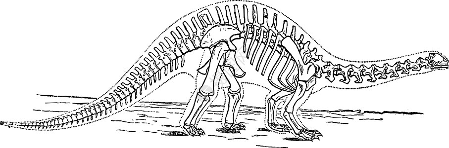侏罗纪时期的动物雷龙125岁图片