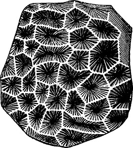 拉托米德拉·戴维索尼 古代雕刻图片