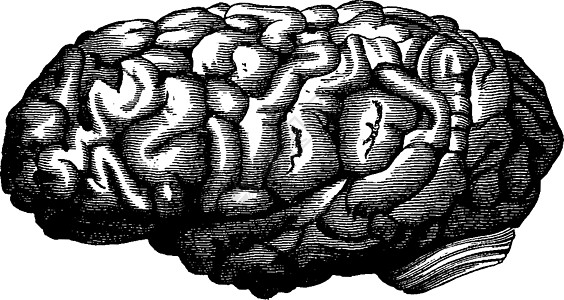 大脑数学家雕刻图片