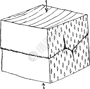 与增长轴平行的压缩 老式雕刻图片
