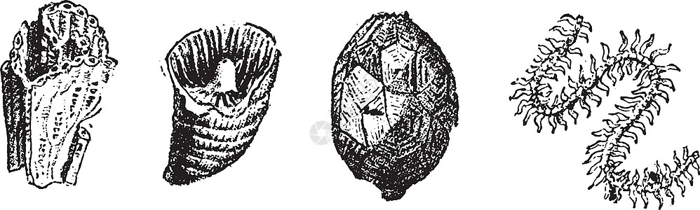 软体雕刻 古代雕刻图片