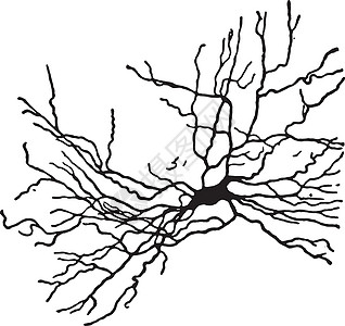 一种神经细胞 古代雕刻图片