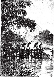 钓鱼然而 当地人很快地拉起他们的渔网 即古老的昆格拉维插画
