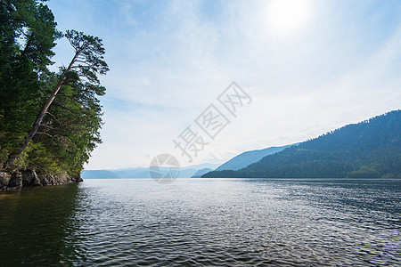 Altai山区Telettskoye湖地平线阳光海浪反射松树晴天公园太阳爬坡场景图片