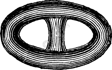 链条 Brunton 或 Catena 旧年雕刻中的链接古董白色金属艺术品戒指艺术绘画插图力量蚀刻图片