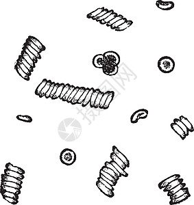 混合的红血细胞古代雕刻艺术品药理科学血流解剖学小体蚀刻红细胞古董草图图片