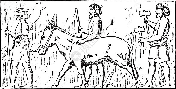 驴夫复古雕刻历史旅行男人骑术宽慰塑像历史性白色食草绘画图片