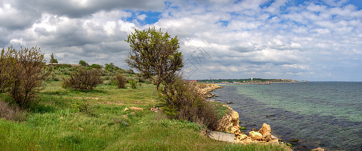 乌克兰敖德萨地区黑海海岸的海平面岩石植物破坏海滩生态全景支撑悬崖乡村旅行图片