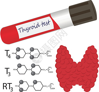 甲状腺试管考试控制医学内分泌检查疾病甲减技术药品实验室图片