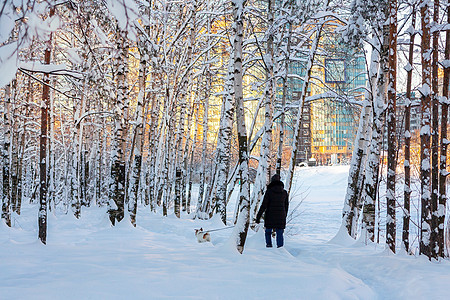 女孩和狗一起在冬季雪覆盖的城市公园散步日落天气森林雪堆朋友们城市行动小路漂移远足图片