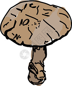 蘑菇头白色背景上的收藏蘑菇森林涂鸦烹饪毒菌草图食物菌类植物插画