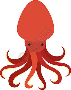 白色背景上的红色章鱼绘画生活蓝色野生动物收藏生物螃蟹食物涂鸦荒野图片