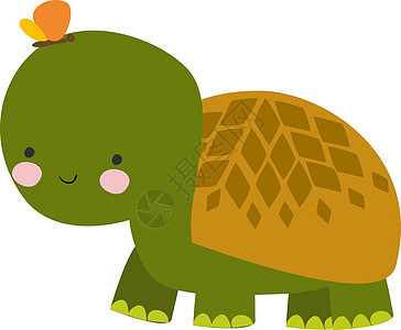 白色背景上的绿色可爱漫画动物生活生物孩子们乌龟吉祥物荒野动物园爬虫图片