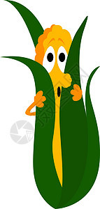 白色背景上的新鲜玉米插画矢量绘画农业胡椒叶子爆米花产品小麦耳朵食物种子图片