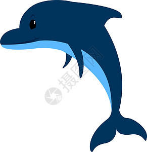 海豚 插图 白底的矢量海洋蓝色动物旅行野生动物绘画游泳墙纸卡通片荒野图片