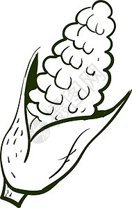 白色背景上的玉米粮食饮食胡椒爆米花艺术谷物农业叶子种子食物图片