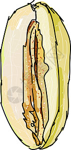 白色背景上的波斯甜瓜插画矢量奇异果水果西瓜热带橙子甜点营养柠檬菠萝浆果插画